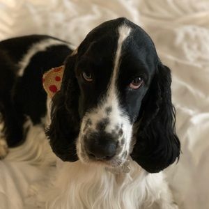 Meet your Posher, Rossana